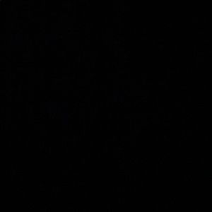 Meet your Posher, Susey